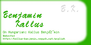 benjamin kallus business card